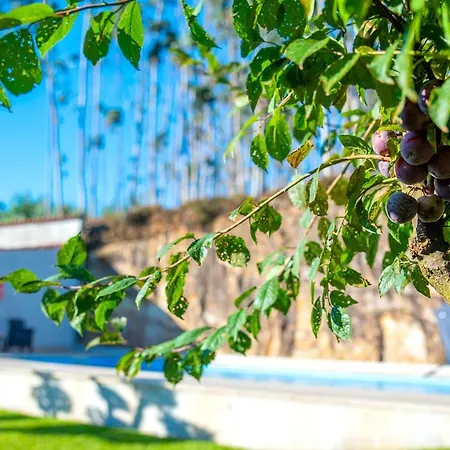 Casa De Naceiros - Ponte De Lima ビアナドカステロ