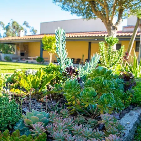 Casa De Naceiros - Ponte De Lima