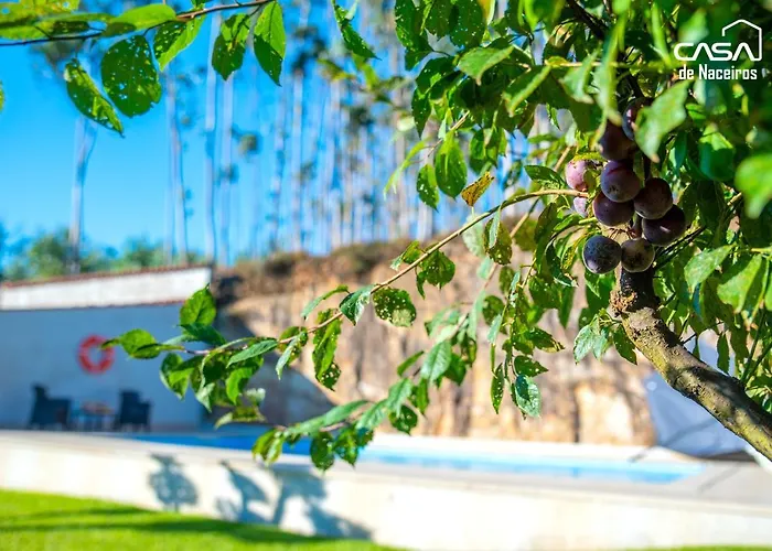 Casa De Naceiros - Ponte De Lima Viana do Castelo